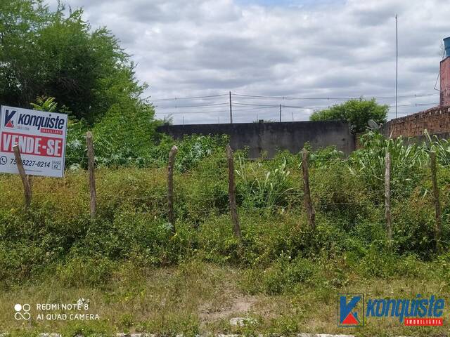 #544 - Terreno para Venda em Feira de Santana - BA - 3