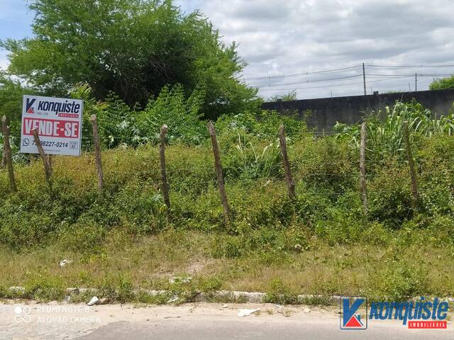 #544 - Terreno para Venda em Feira de Santana - BA - 1
