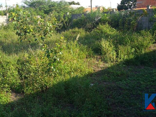 Área para Venda em Feira de Santana - 4