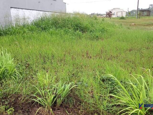 #4441 - Área para Venda em Feira de Santana - BA - 3