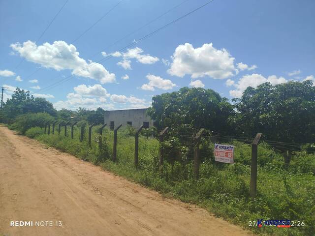 #4638 - Chácara para Venda em Feira de Santana - BA - 3