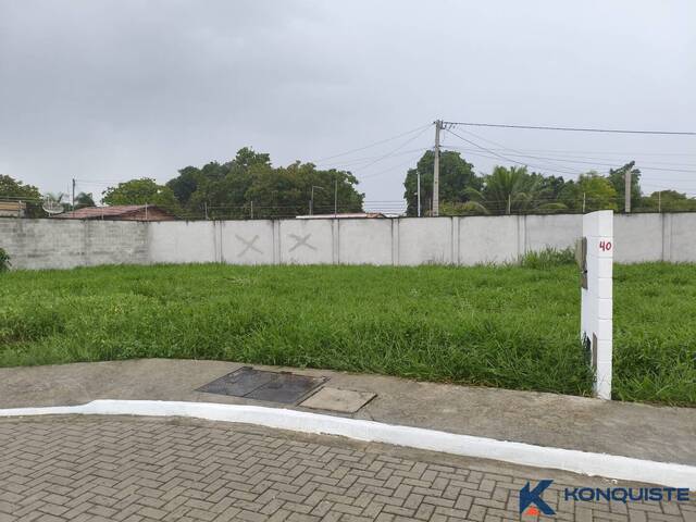 Venda em Sim - Feira de Santana