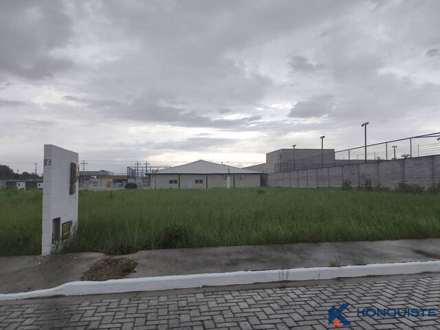 Venda em Sim - Feira de Santana