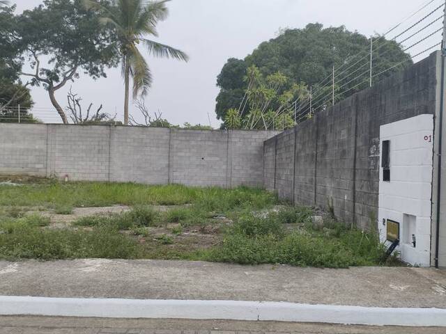 Venda em Sim - Feira de Santana