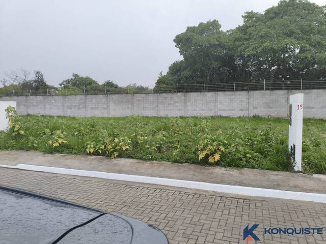 Venda em Sim - Feira de Santana