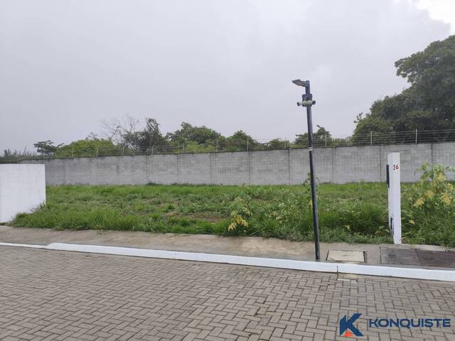 Venda em Sim - Feira de Santana