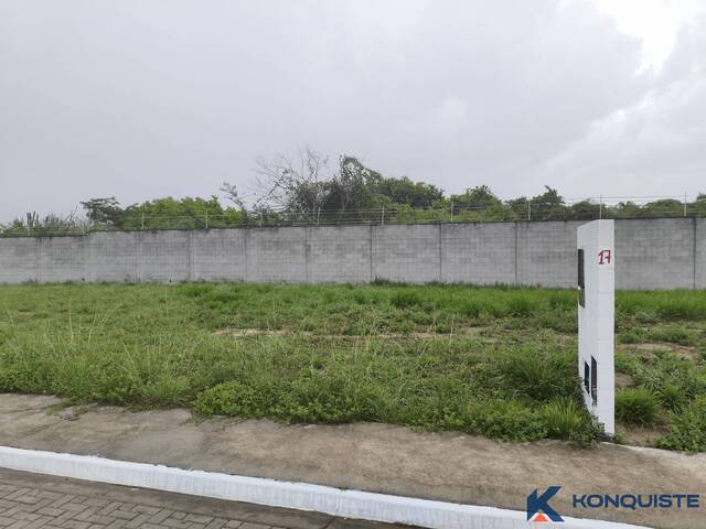 Venda em Sim - Feira de Santana