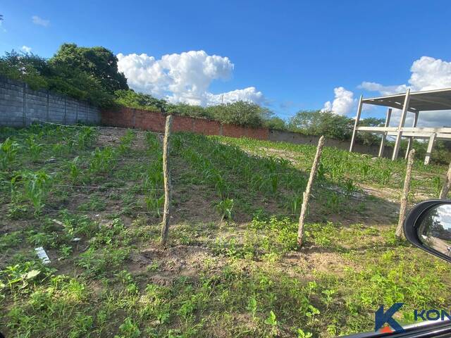 Venda em SANTA MÔNICA 2 - Feira de Santana