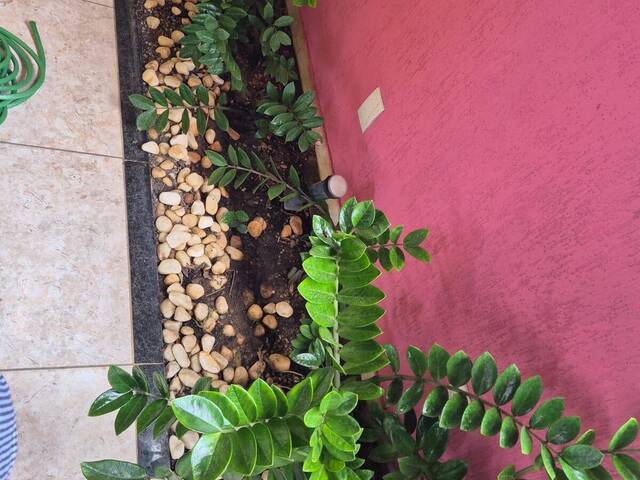 Casa em condomínio para Venda em Feira de Santana - 4