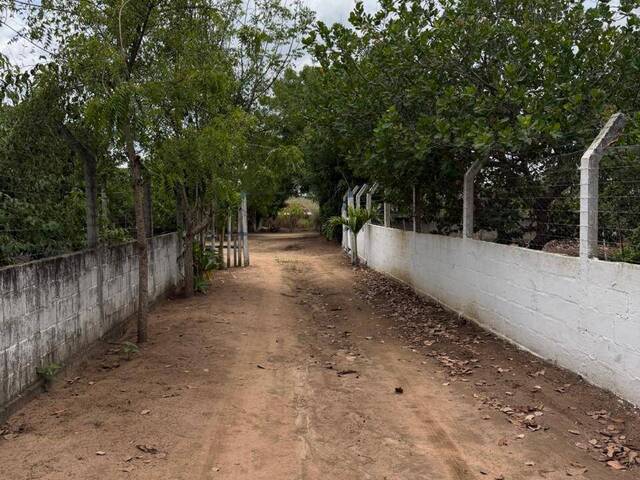 #4845 - Chácara para Venda em Feira de Santana - BA - 3