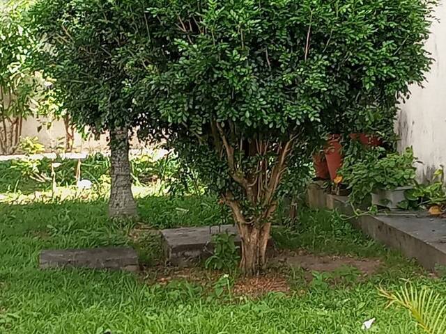 #4873 - Apartamento para Locação em Feira de Santana - BA - 2