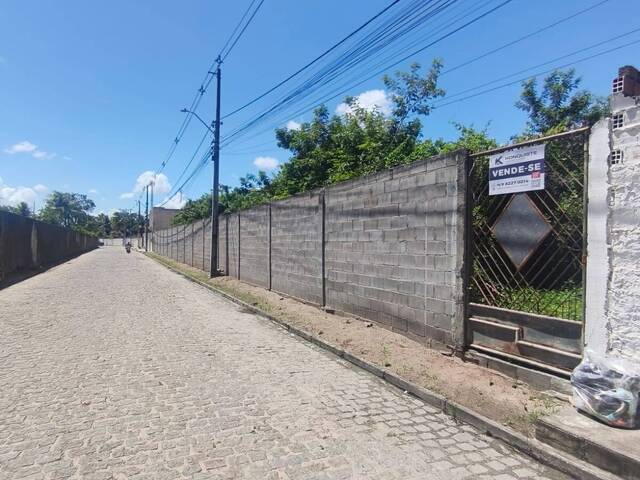 #4904 - Terreno para Venda em Feira de Santana - BA - 3
