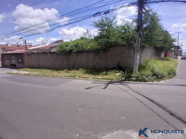 #4905 - Terreno para Venda em Feira de Santana - BA - 3