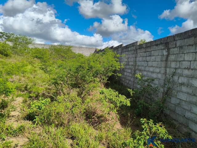 Terreno para Venda em Feira de Santana - 2