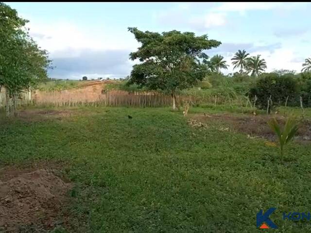 #4969 - Área para Venda em Feira de Santana - BA