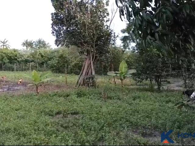 Área para Venda em Feira de Santana - 4
