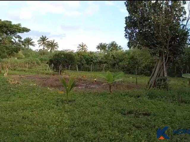 #4969 - Área para Venda em Feira de Santana - BA