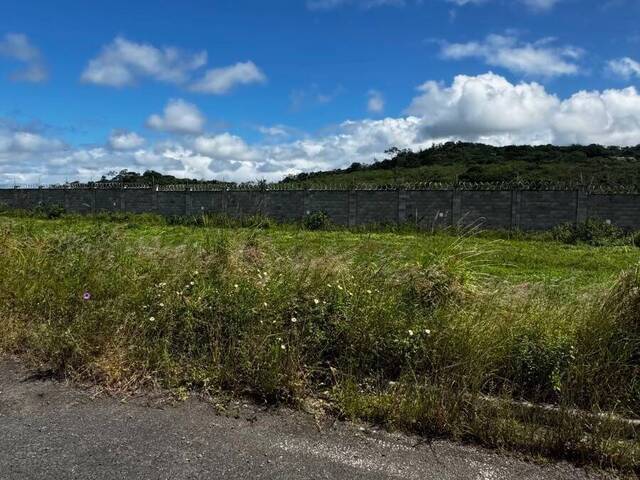 Terreno para Venda em Feira de Santana - 4