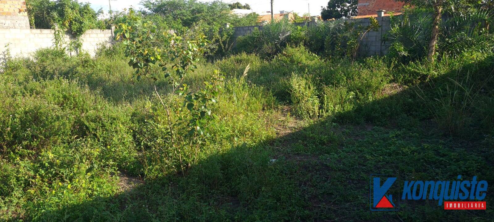 Terreno, 600 m² - Foto 4