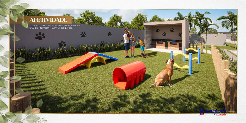 Casa, 3 quartos - Foto 14