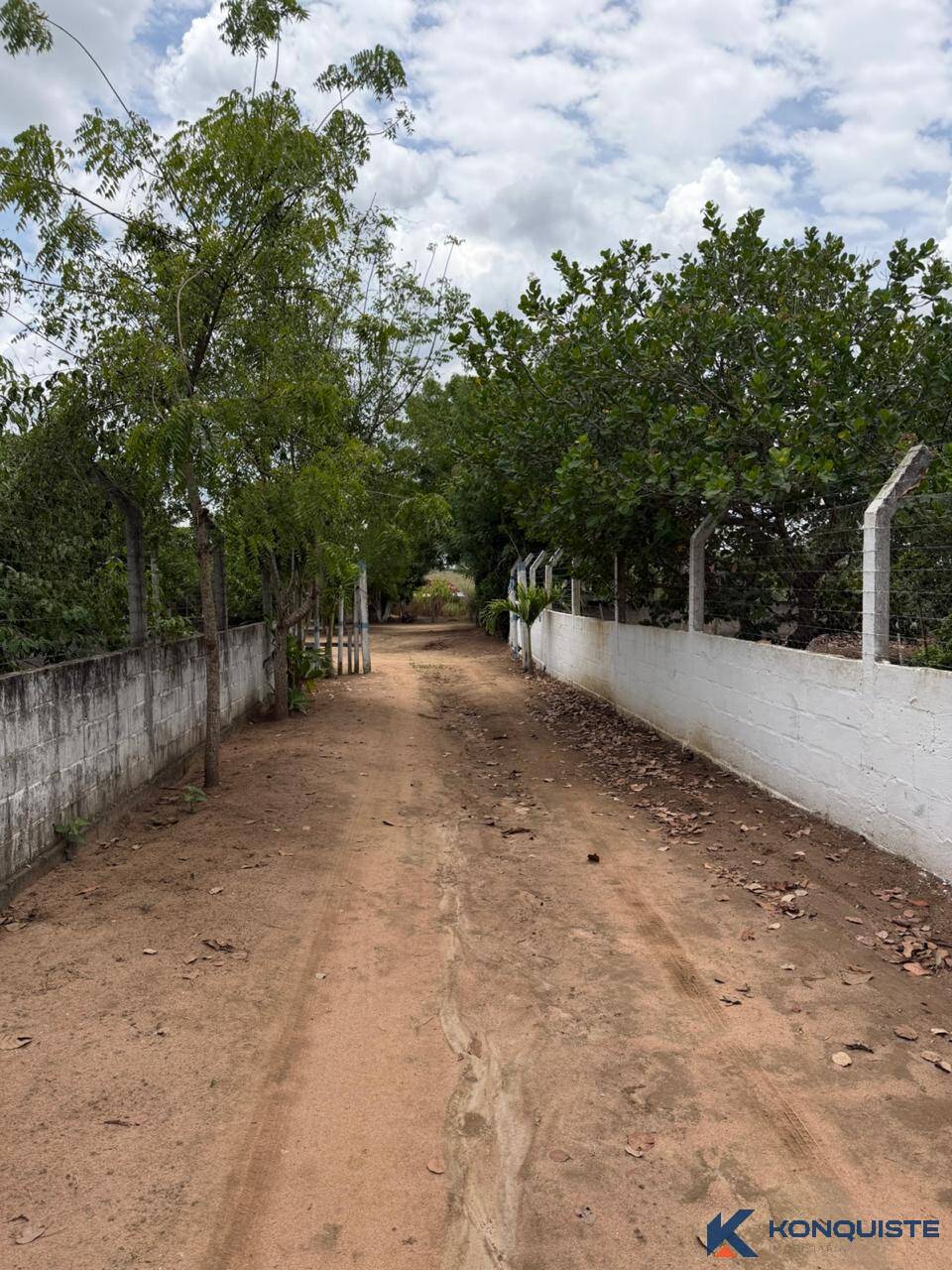 Sítio, 1 quarto, 6000 m² - Foto 3