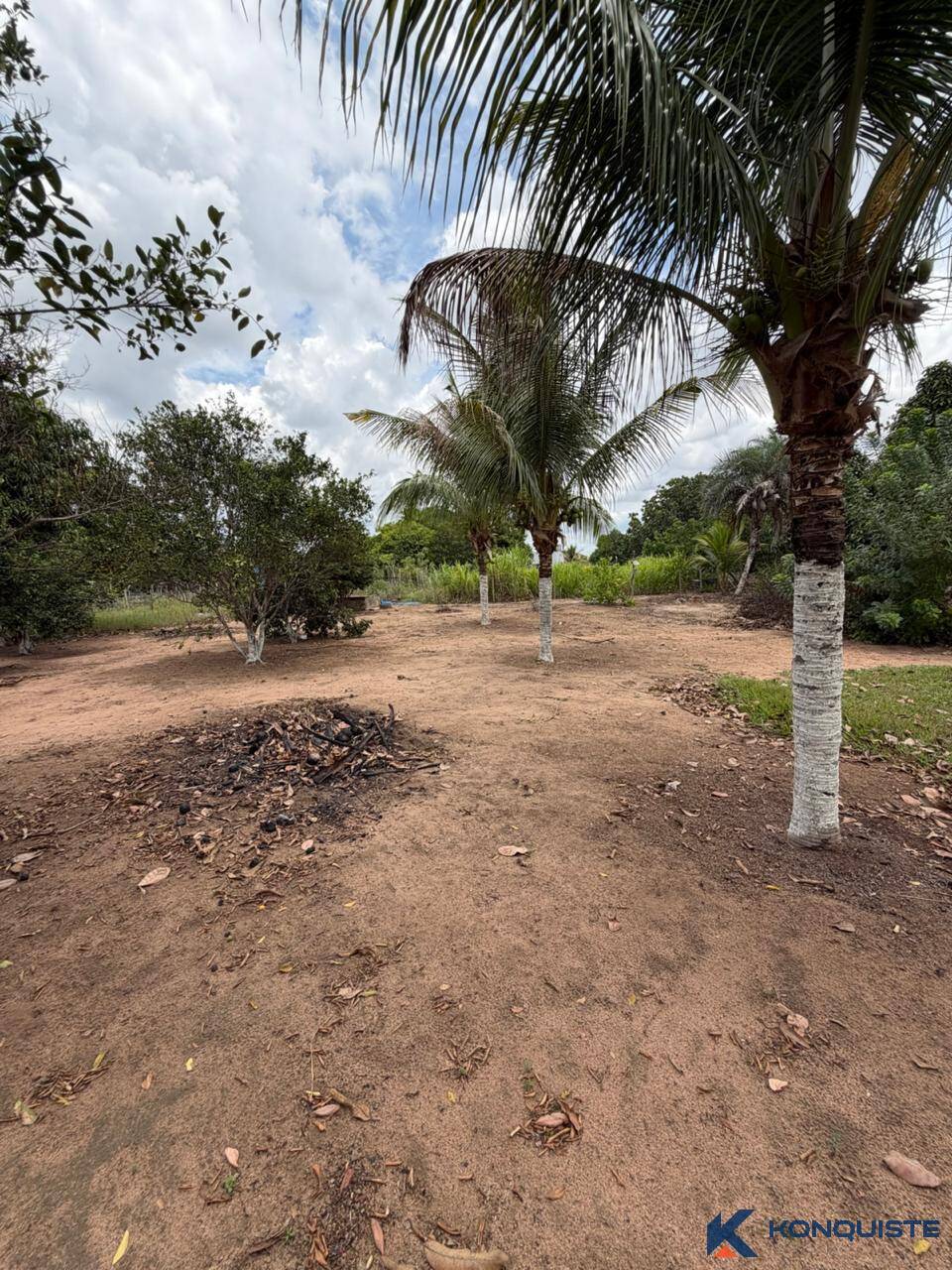 Sítio, 1 quarto, 6000 m² - Foto 12