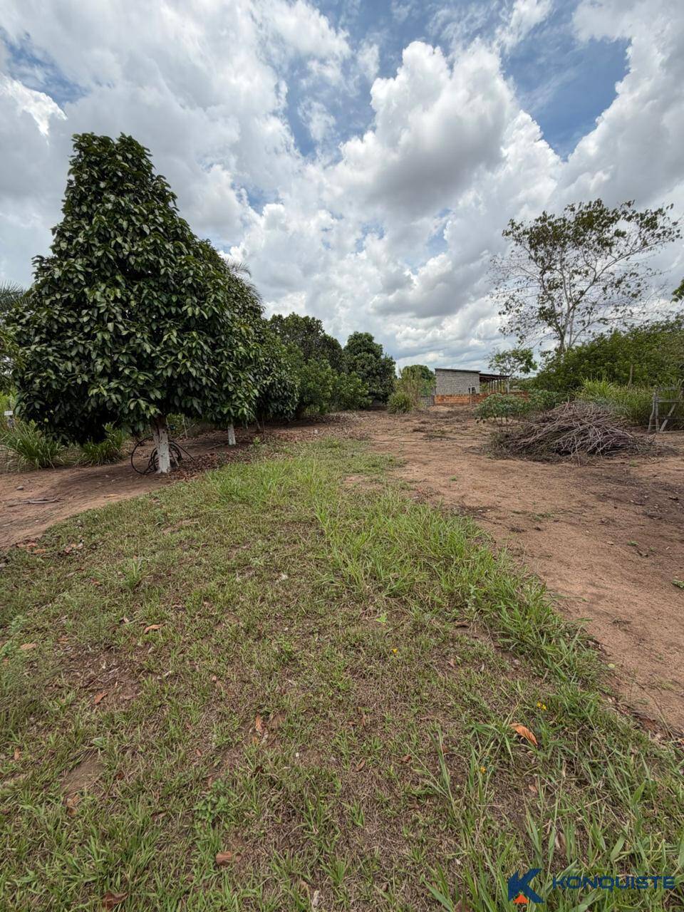 Sítio, 1 quarto, 6000 m² - Foto 11