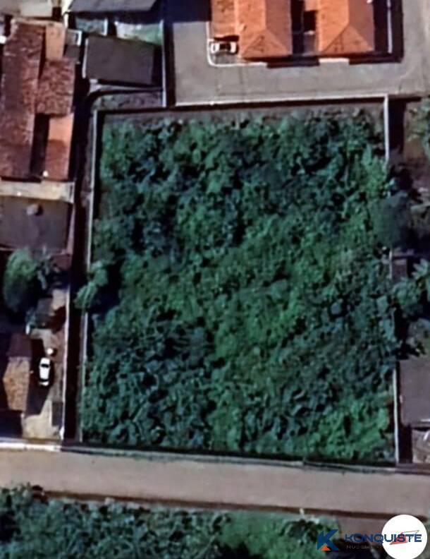 Terreno, 3 hectares - Foto 4