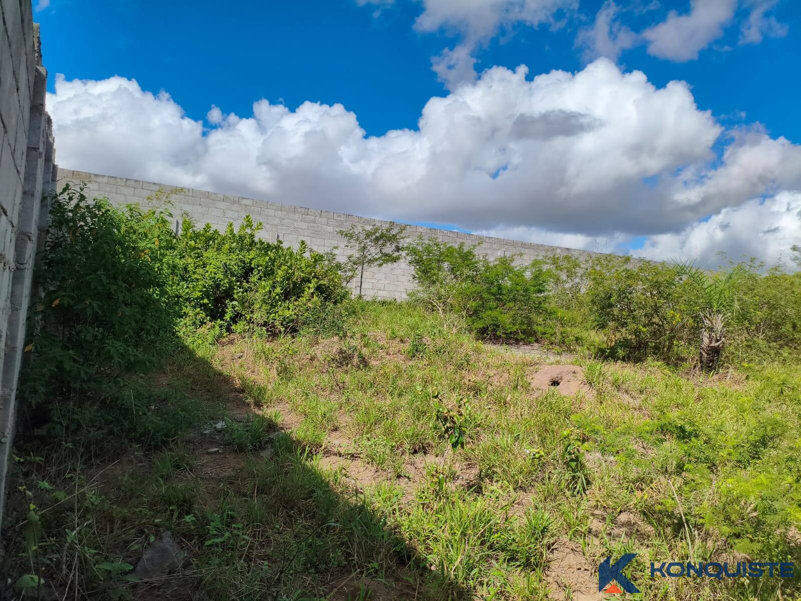 Terreno, 600 m² - Foto 3