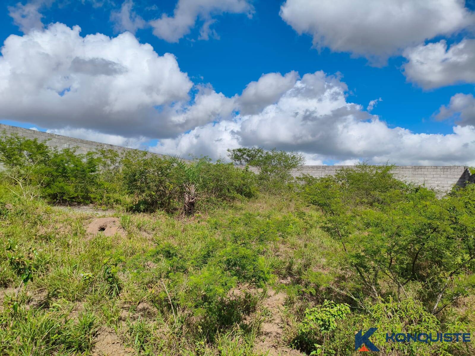 Terreno, 600 m² - Foto 4