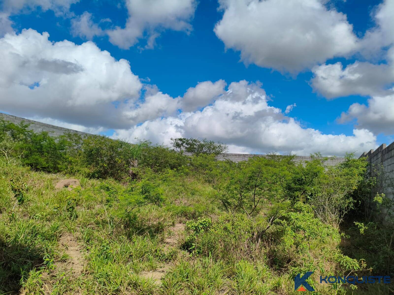Terreno, 600 m² - Foto 5