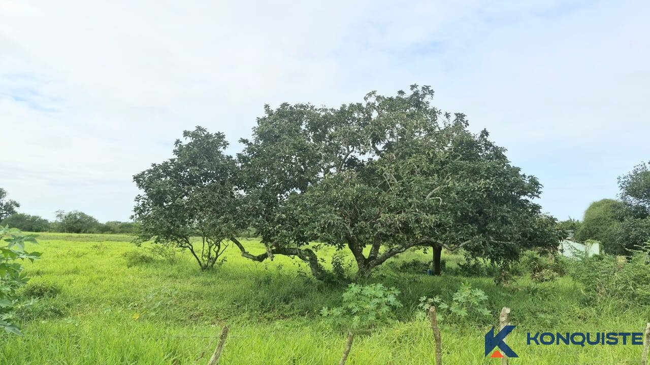 Terreno, 1 hectares - Foto 3