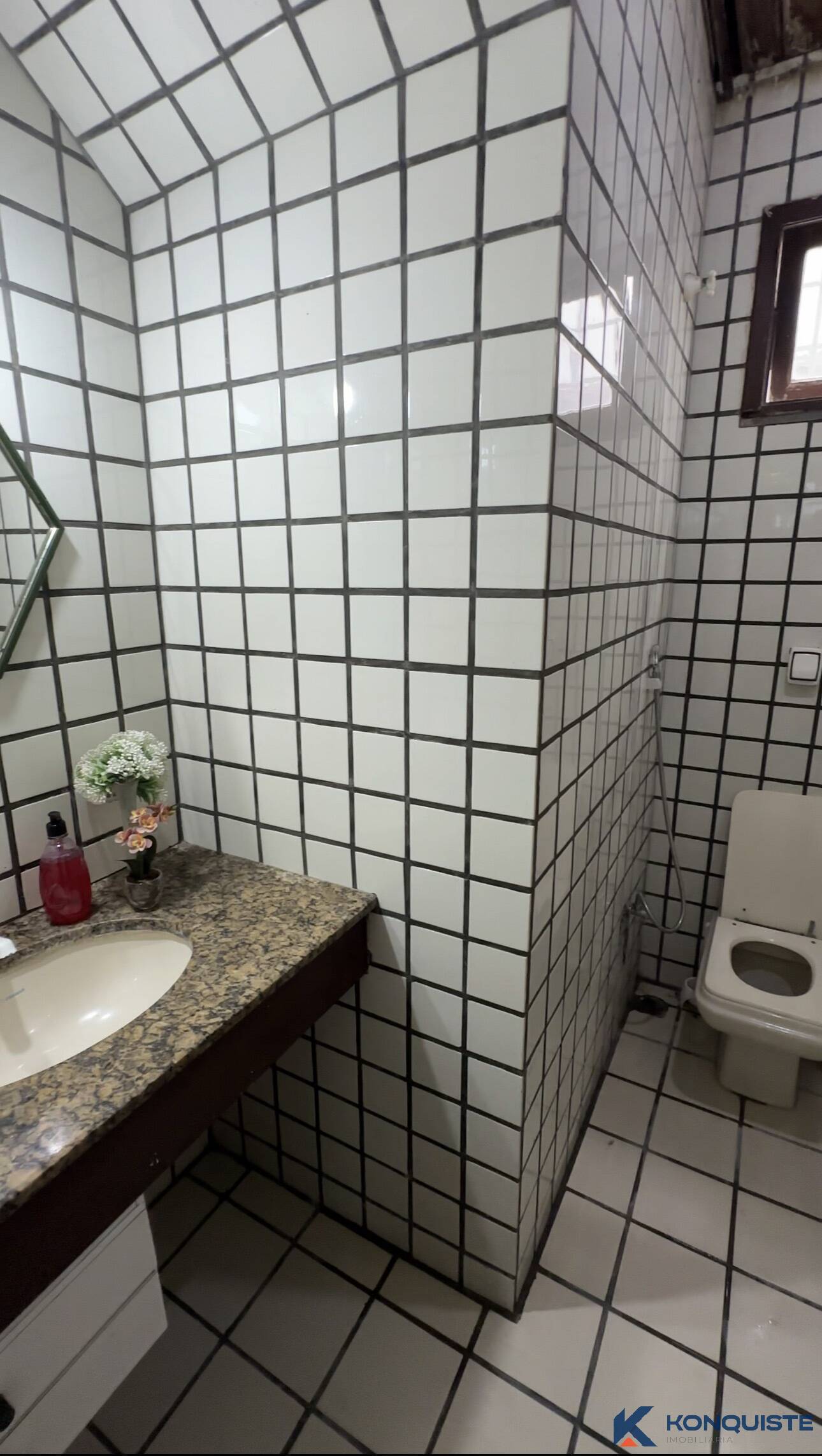 Casa, 5 quartos, 300 m² - Foto 16